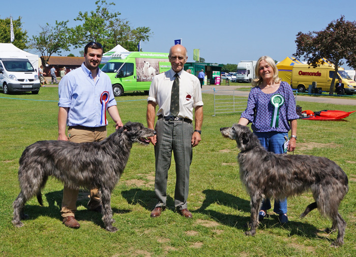 BOB & BOS Deerhound Club Breed Show 2013